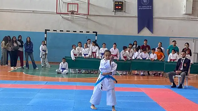 Karate Turnuvası Seydişehir'de gerçekleşti!
