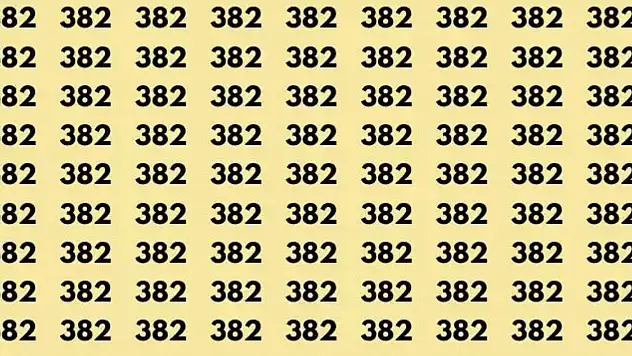 Kartal gibi gözleri olanlar 332'yi görebilir! Siz 15 saniyede görebildiniz mi?