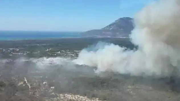 Kaş'taki yangın yeniden başladı