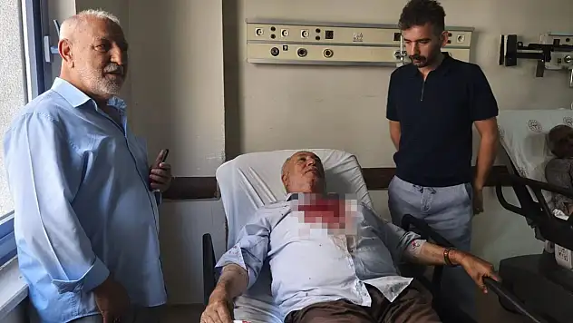 Kavgayı ayırmak isterken darbedildi