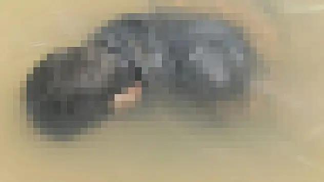 Kaybolan gencin cesedi bulundu