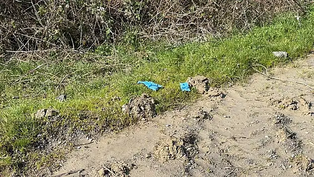 Kayıp olarak aranıyordu: Çinli iş insanı korkunç halde bulundu