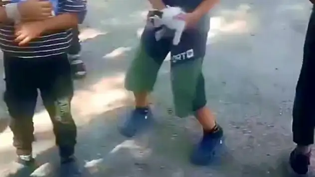 Kedi dipsiz kuyuya düştü! Kahraman çocuklar canını tehlikeye attı...