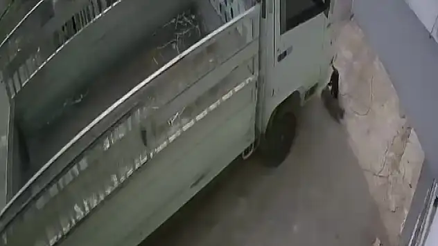 Kedileri ezen sürücüye şaşırtan ceza