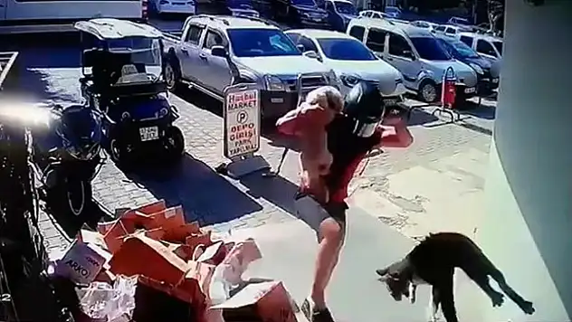 Kediyi tekmeyle metrelerce havaya fırlattı