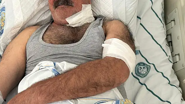 Kendi atının saldırısına uğrayan adam ağır yaralandı