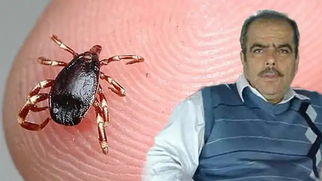 Kene kabusu Konya'da can aldı