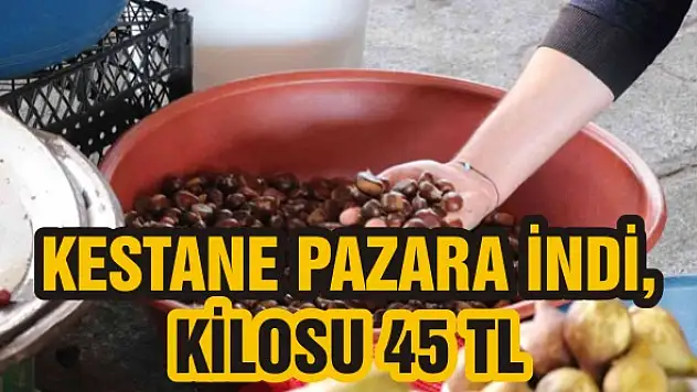 Kestane pazara indi, kilosu 45 TL
