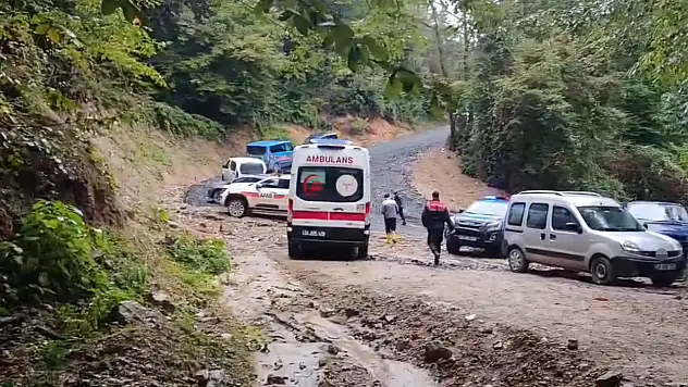Kestane toplamak için ormana girdi, acı haber geldi!