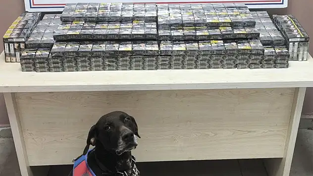 Kimlik kontrolü için durdurulan TIR'da şok eden zula