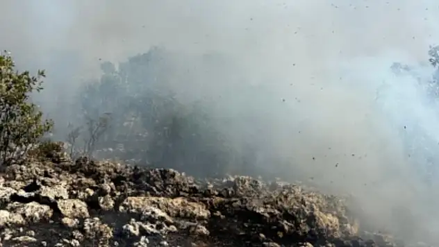 Kırsal alanda örtü yangını! Ekipler alevlerle mücadele ediyor