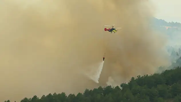 Kısa sürede büyüyen orman yangınına müdahale ediliyor!