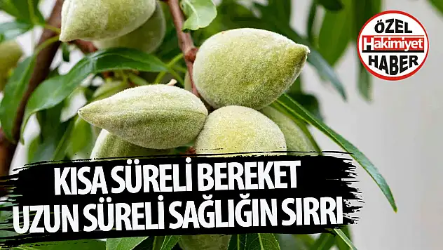 Kısa süreli bereket, uzun süreli sağlık sırrı çağla!