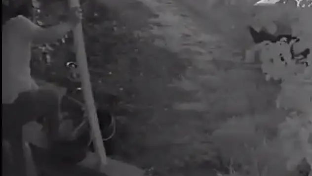 Kıyafetine yapışan ot saldırganı ele verdi