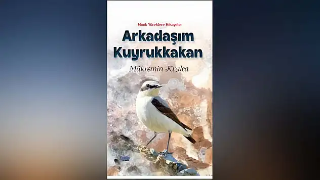 Kızılca'nın Yeni Kitabı Yayımlandı!