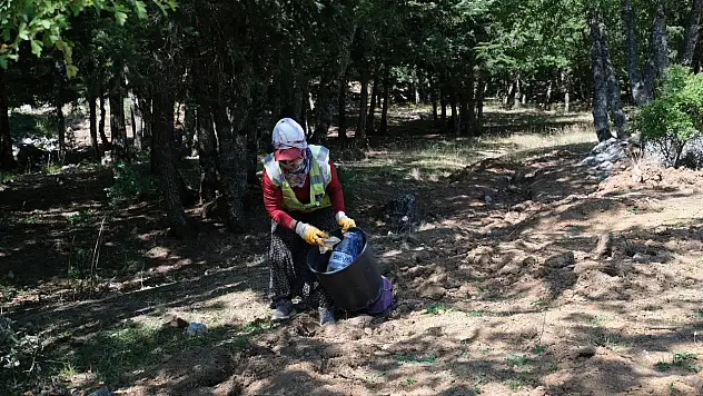 Kocakoru tabiat Parkı'nda çevre temizliği