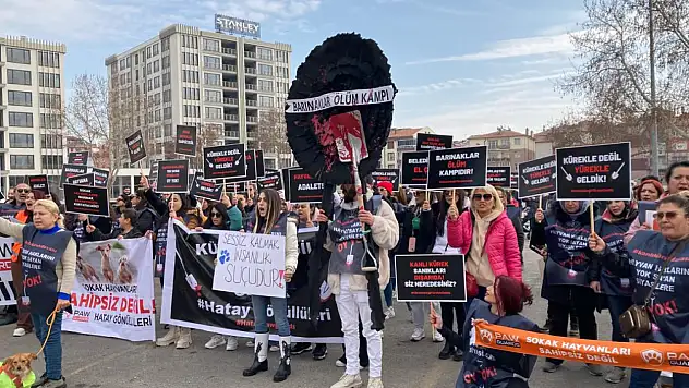 Konya barınağında köpeği öldüren sanıkların tahliyesine tepki