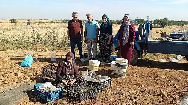 Konya çilek üretiminde merkez oluyor!