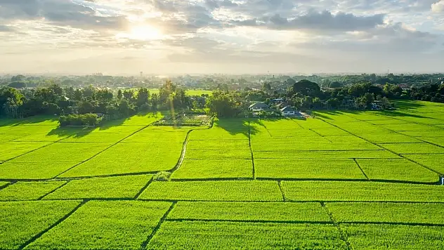 Konya'da 12 bin metre karelik tarla satışa çıkıyor! İşte fiyatı...