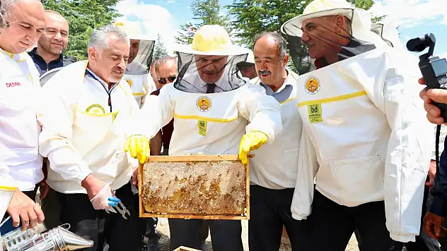 Konya'da 127 bin arı kolonisiyle 900 ton bal üretildi