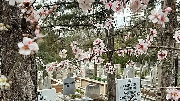 Konya'da 29 Mayıs 2026 Cuma günü vefat edenler