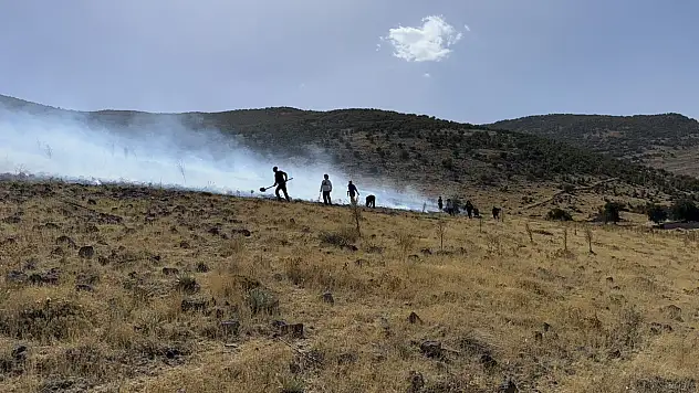 Konya'da 3 çocuğun piknik keyfi yürekleri ağza getirdi