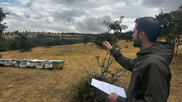 Konya'da arıcılık işletmelerine yönelik çalışmalar sürüyor