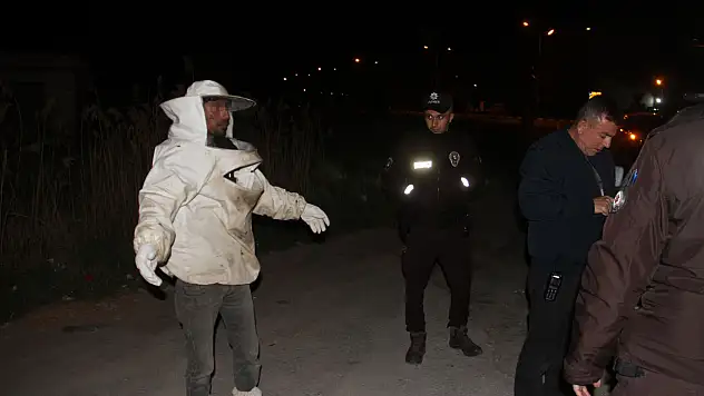 Konya'da arılar trafiği felç etti: Kamyonet devrildi, polisler hastanelik oldu!