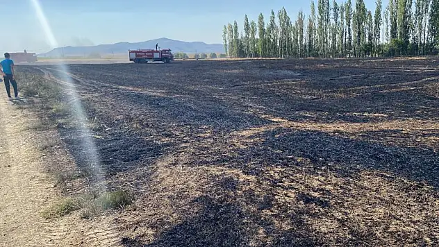 Konya'da arpa tarlası küle döndü