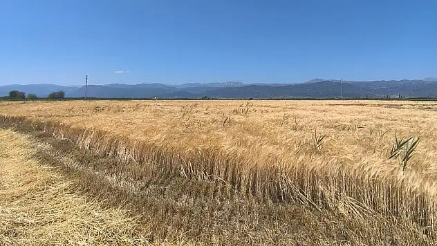 Konya'da atıl araziler üretime kazandırılıyor