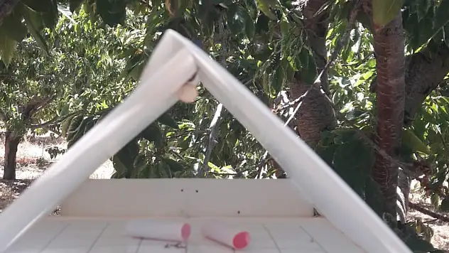 Konya'da bağ alanlarında hastalık ve tuzak var mı? Ekiplerden müdahale...