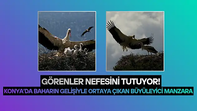 Konya'da baharın gelişiyle ortaya çıkan büyüleyici manzara: Görenler nefesini tutuyor!