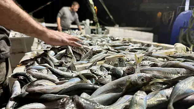 Konya'da balıkçılara şok ceza! Boy limitine takıldılar...