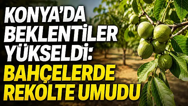 Konya'da beklentiler yükseldi: Bahçelerde rekolte umudu