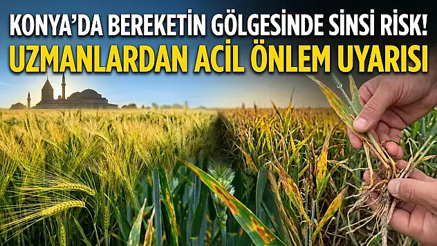 Konya'da bereketin gölgesinde sinsi risk! Uzmanlardan acil önlem uyarısı