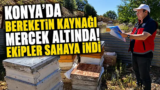 Konya'da bereketin kaynağı mercek altında! Ekipler sahaya indi