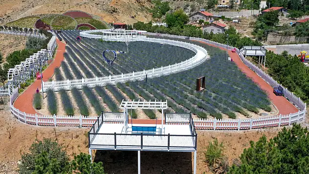 Konya'da bulunan Meram Lavanta Bahçesi Ziyaretçilerine Güzel Anlar Yaşatıyor! 