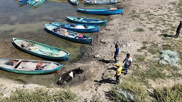 Konya'da çamura saplanan inek, ekipleri alarma geçirdi!