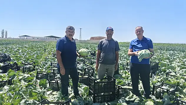 Konya'da çeşit artıyor! Bu ürünler çiftçilerin gözdesi oldu...