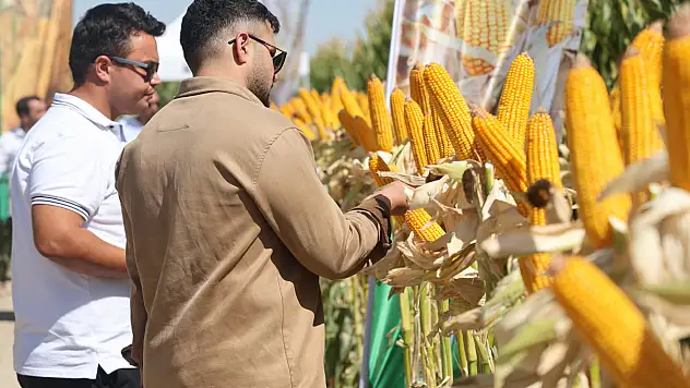 Konya'da çiftçilere bereketli gelecek için yeni mısır çeşitleri sunuldu