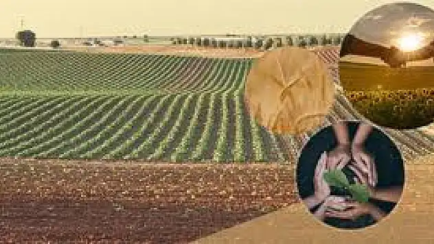 Konya'da çiftçilere müjde! O belgeyi alanlar destekleri kapacak...