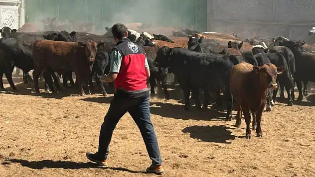 Konya'da çiftçilere rekor ceza: Bir biriyle çelişen 2 farklı tutanak!