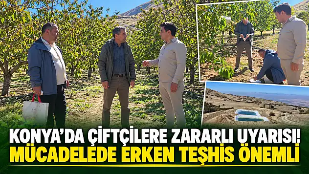 Konya'da çiftçilere zararlı uyarısı! Mücadelede erken teşhis önemli