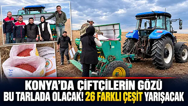 Konya'da çiftçilerin gözü bu tarlada olacak! 26 farklı çeşit yarışacak