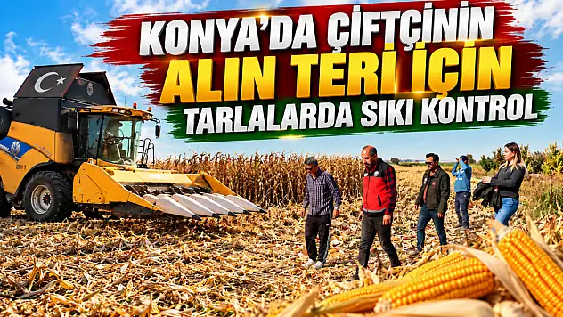 Konya'da çiftçinin alın teri için tarlalarda sıkı kontrol