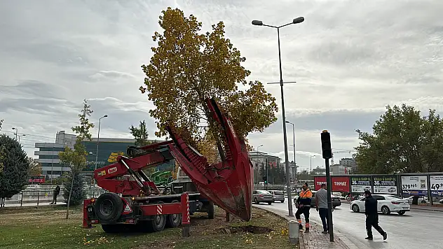Konya'da dev proje için tek bir ağaca bile kıymadılar