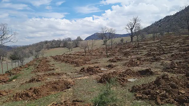 Konya'da dev proje: Terk edilmiş araziler hayat buluyor!