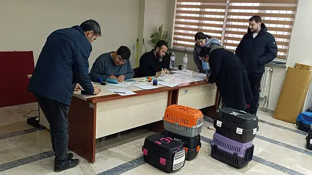 Konya'da dijital kimlik çalışmaları hız kazandı