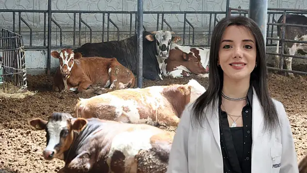 Konya'da diyetisyenden dikkat çeken et tüketimi tavsiyesi