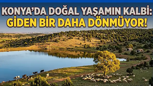 Konya'da doğal yaşamın kalbi: Giden bir daha dönmüyor!
